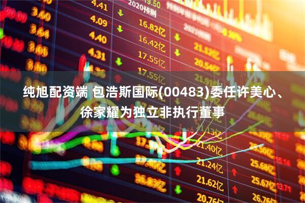 纯旭配资端 包浩斯国际(00483)委任许美心、徐家耀为独立非执行董事