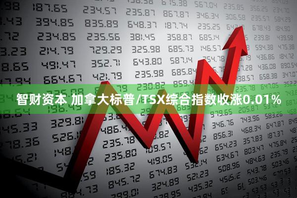 智财资本 加拿大标普/TSX综合指数收涨0.01%