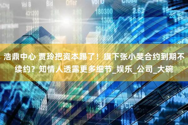 浩鼎中心 贾玲把资本踢了！旗下张小斐合约到期不续约？知情人透露更多细节_娱乐_公司_大碗