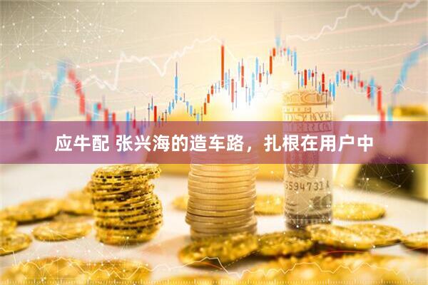 应牛配 张兴海的造车路，扎根在用户中