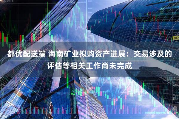 都优配送端 海南矿业拟购资产进展：交易涉及的评估等相关工作尚未完成